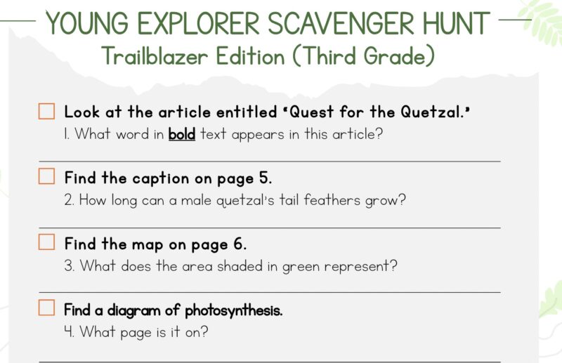 third grade text feature scavenger hunt with questions 